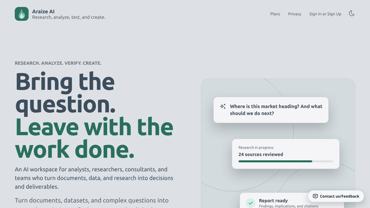 Araize AI website screenshot