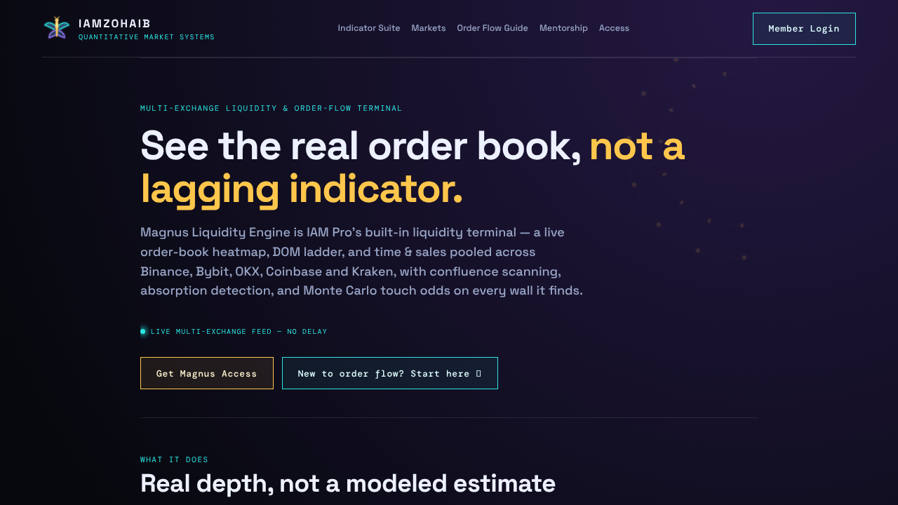 Magnus Liquidity Engine website screenshot